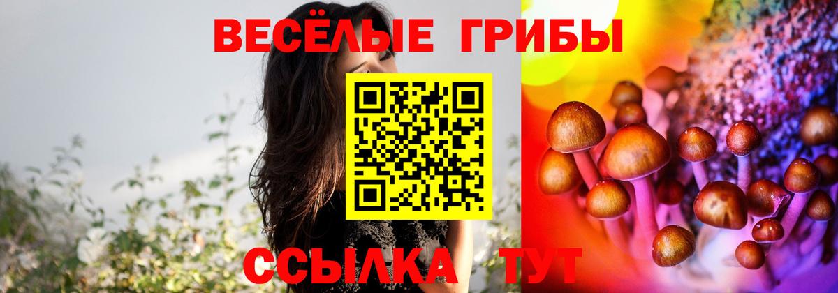 Орск  Псилоцибиновые грибы Psilocybine cubensis  Галлюциногенные грибы Psilocybe  наркотики  Вход с VPN 
